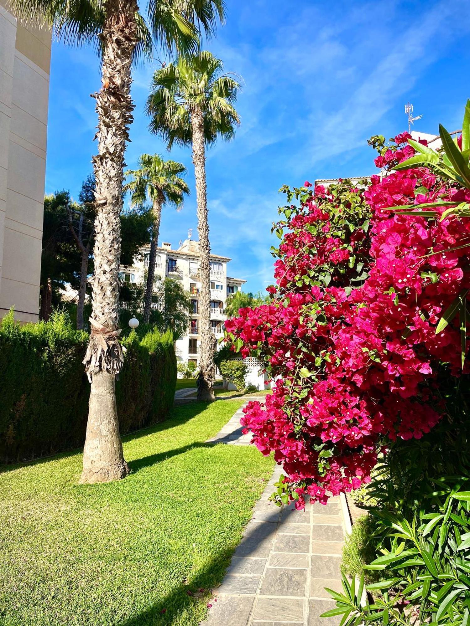 Calas Blancas Torrevieja Extérieur photo